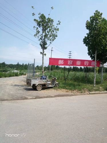 绿岛垂钓园(北郝村)钓点与钓场环境照片