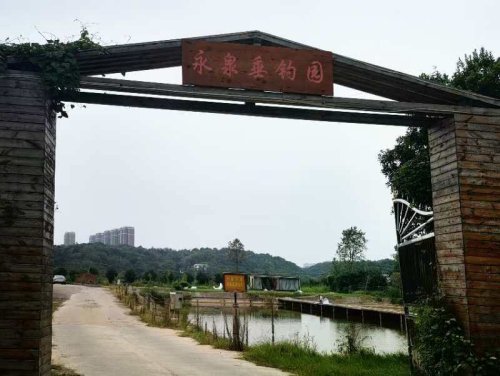 永泉垂钓园钓场环境照片