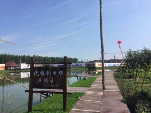 优雅钓鱼场钓点与钓场环境照片