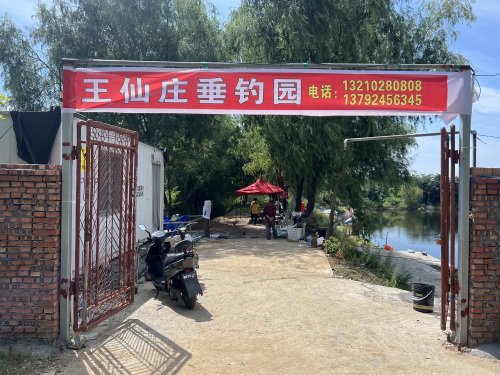 王仙庄垂钓园钓点与钓场环境照片