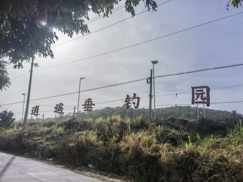 逍遥垂钓园钓场环境照片