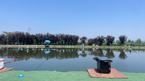 大鹏垂钓园钓点与钓场环境照片