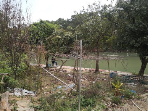 角里钓鱼台钓场环境照片