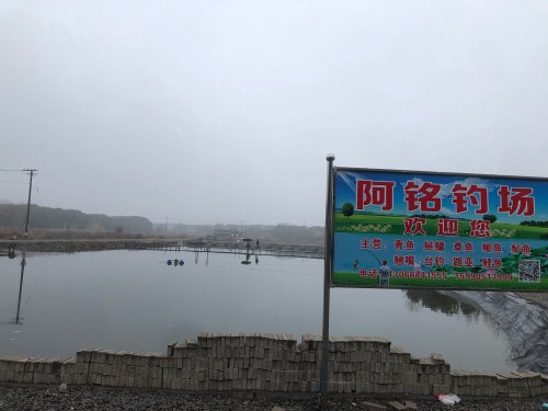阿铭钓场钓点与钓场环境照片