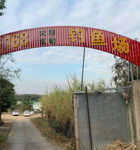 上护168钓鱼场钓点与钓场环境照片
