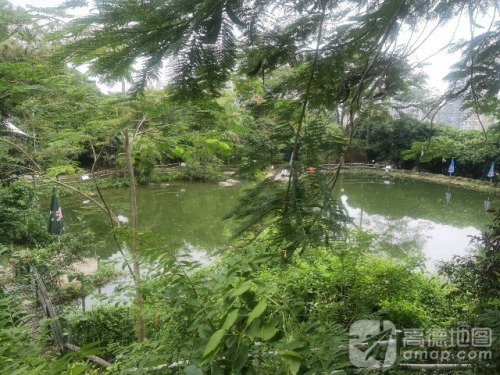 钓鱼池钓点与钓场环境照片
