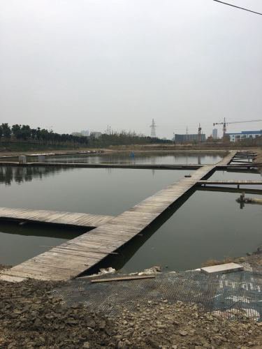 南翔路垂钓中心钓场环境照片