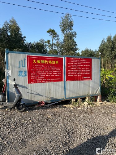 大板鲫钓场钓场环境照片