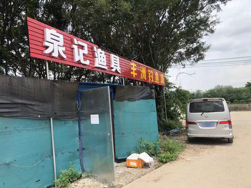 丰洲钓鱼场钓点与钓场环境照片