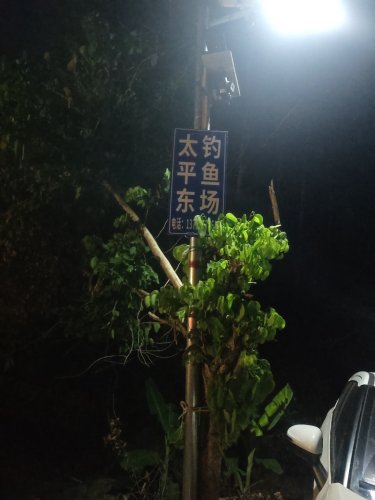 太平东钓鱼场钓场环境照片