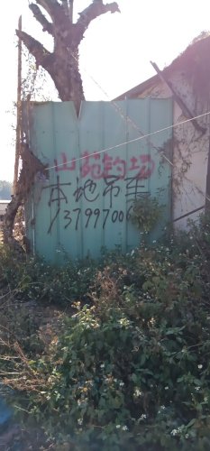 山苑钓场钓场环境照片