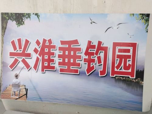 兴淮垂钓园钓场环境照片