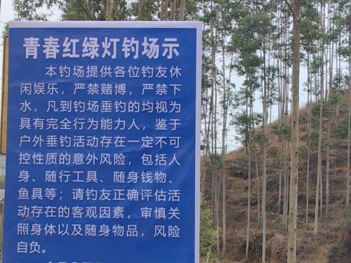青春红绿灯钓场钓场环境照片