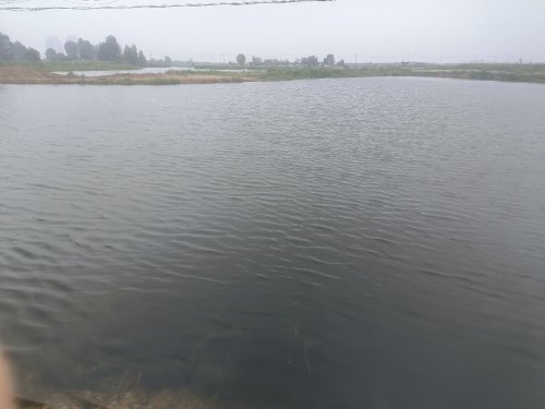 甘家村西大院垂钓园钓场环境照片
