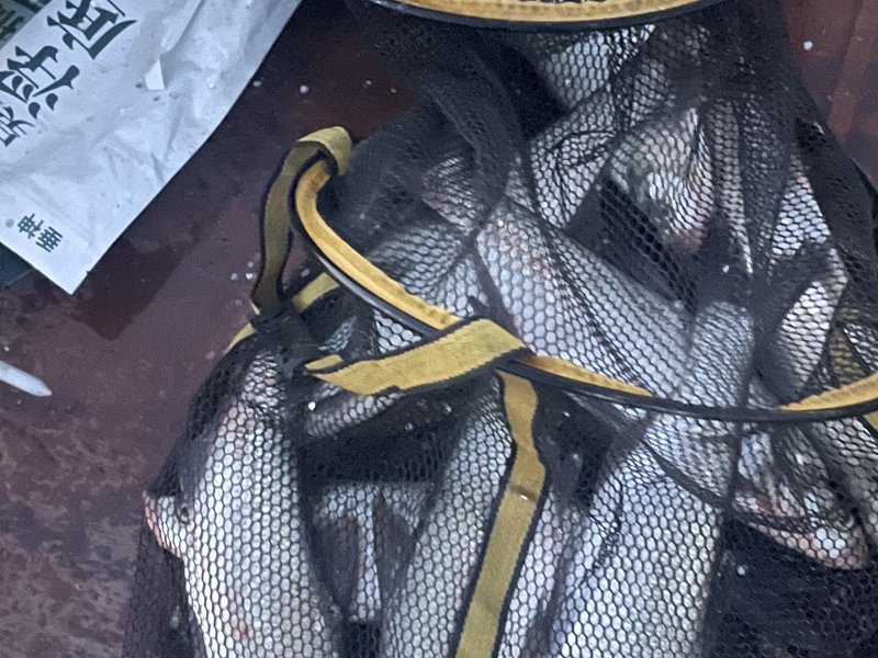 汇云庄垂钓中心钓点与钓场环境照片