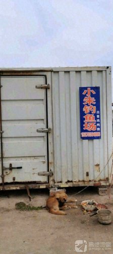 小朱钓鱼场钓场环境照片