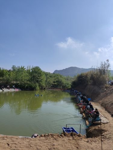 奎山天天垂钓园钓点与钓场环境照片