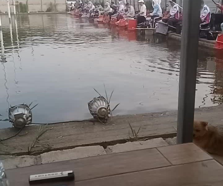 216钓场钓场环境照片