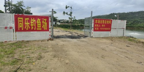 同乐休闲钓鱼场钓场环境照片