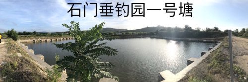 石门垂钓园钓场环境照片