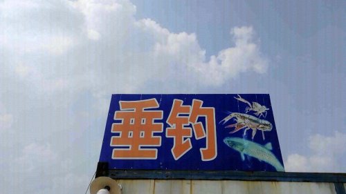 青松垂钓场钓场环境照片