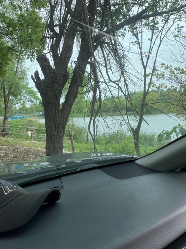 吴塘门垂钓乐园钓场环境照片