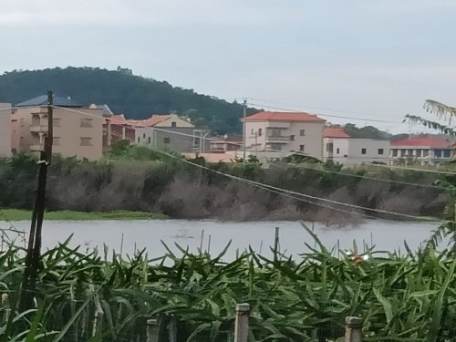 大宅故里垂钓园钓场环境照片