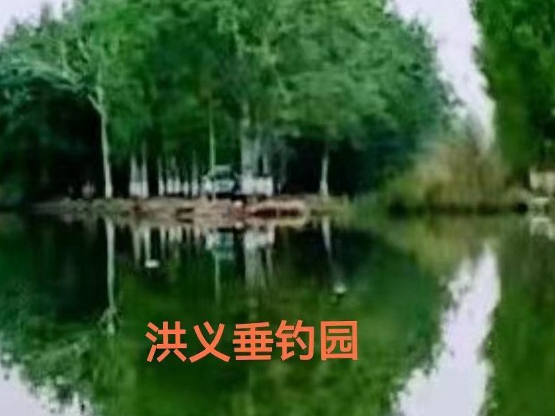 洪义垂钓园钓点与钓场环境照片