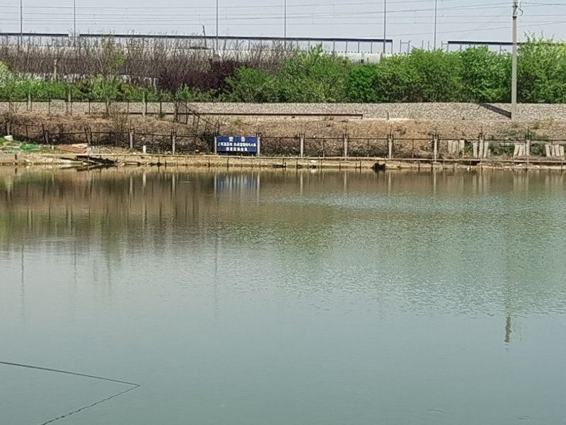 一杆天下垂钓园钓点与钓场环境照片