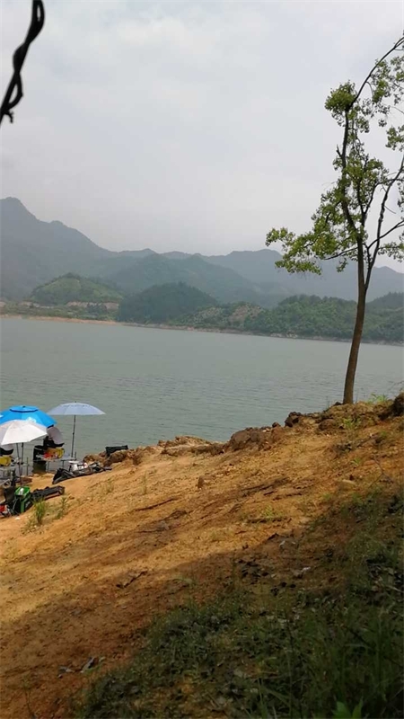 千岛湖左口钓友民宿钓场环境缩略图