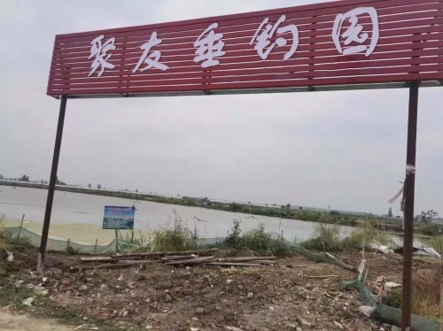 聚友垂钓园钓点与钓场环境照片
