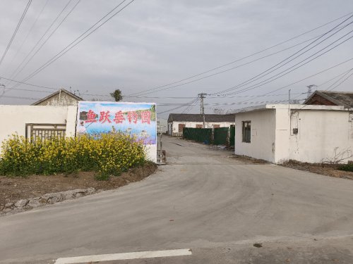 鱼跃垂钓园钓场环境照片