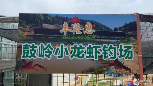 丰隆惠鼓岭小龙虾钓场钓场环境照片