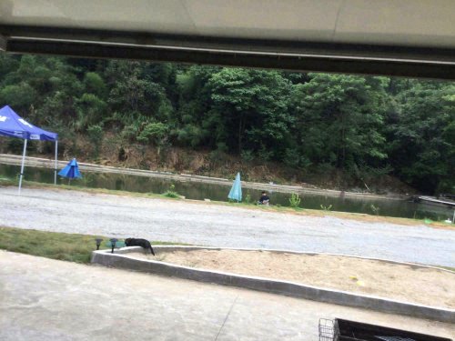 黄坑渔乐池钓场钓场环境照片