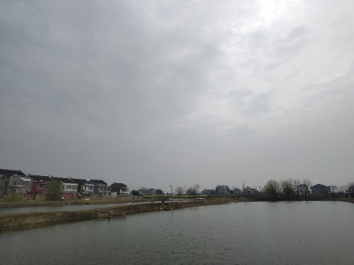 太公垂钓养殖基地钓场环境照片