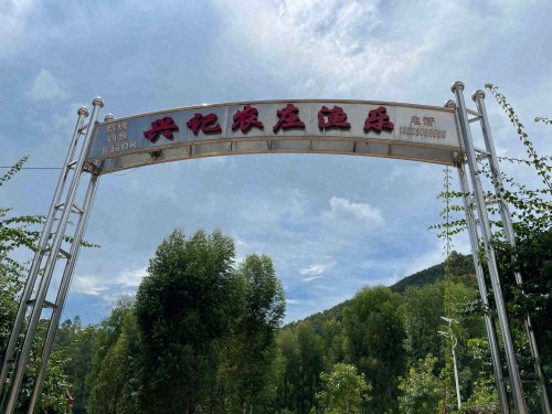 兴记农庄渔乐钓点与钓场环境照片