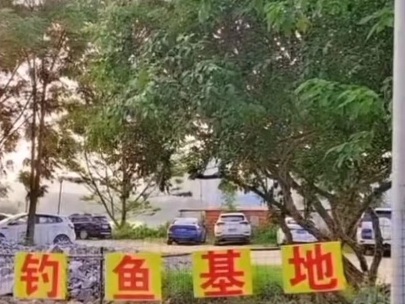 江畔钓鱼基地钓点与钓场环境照片