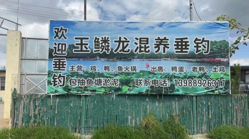 玉鳞龙混养垂钓钓场环境照片