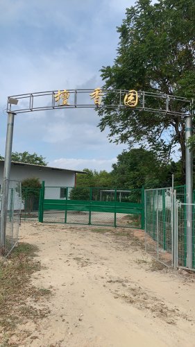 檀香园钓场钓点与钓场环境照片