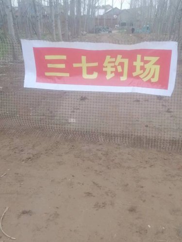 三七钓场钓点与钓场环境照片