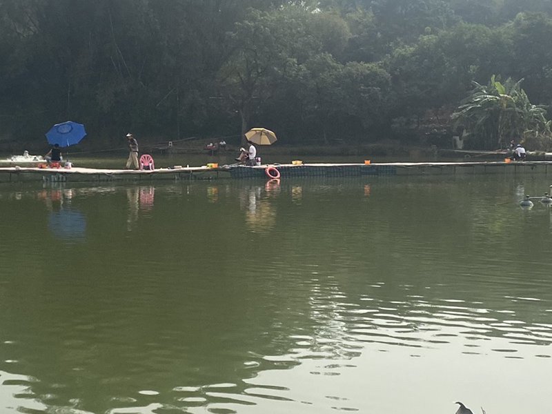 海伦钓鱼场钓点与钓场环境照片