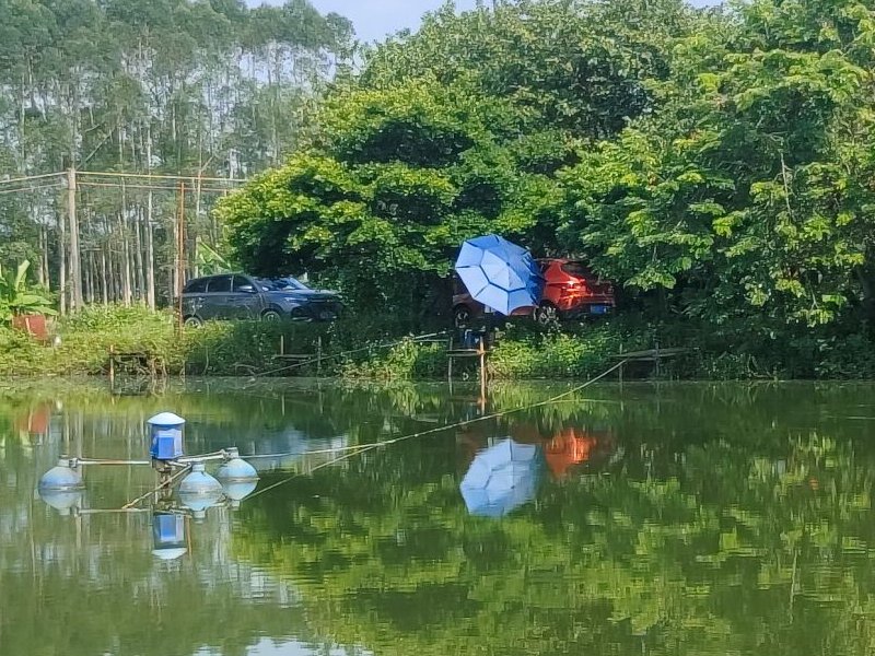 森哥钓鱼场钓点与钓场环境照片