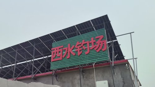 西水钓场钓点与钓场环境照片