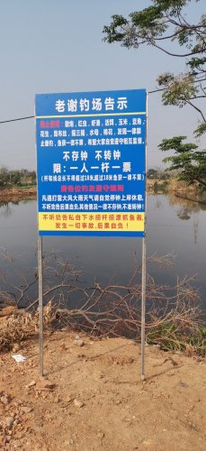 老谢钓鱼场钓点与钓场环境照片