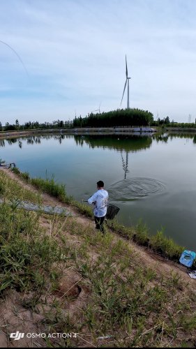 武清陈咀巨物鲢鳙钓场钓点与钓场环境照片