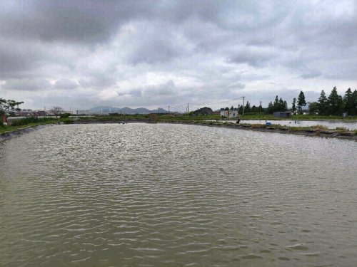 霞浦老谈垂钓中心钓点与钓场环境照片