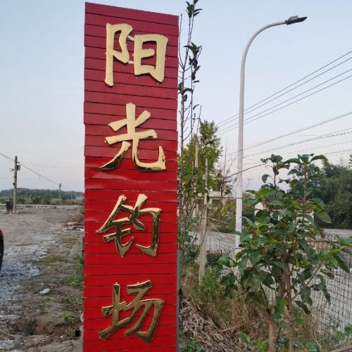阳光钓场钓场环境照片
