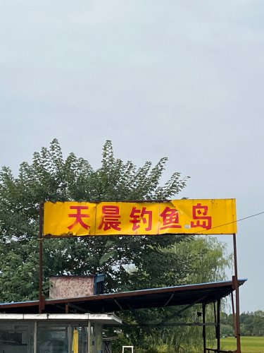 天晨钓鱼岛钓场环境照片