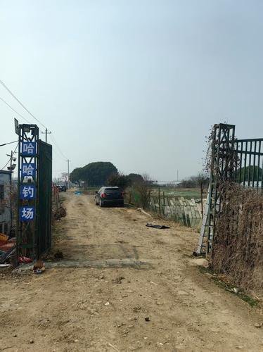 哈哈钓场钓场环境照片
