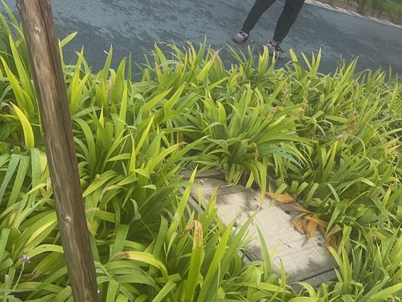 东海县界埃垂钓园钓场环境照片